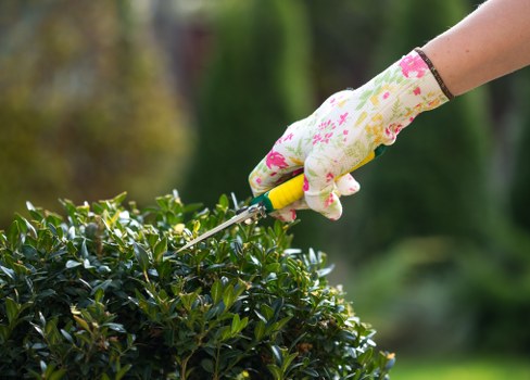 Outdoor living area enhanced by professional gardening services