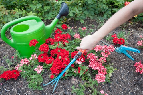 Gardening service team maintaining a vibrant garden